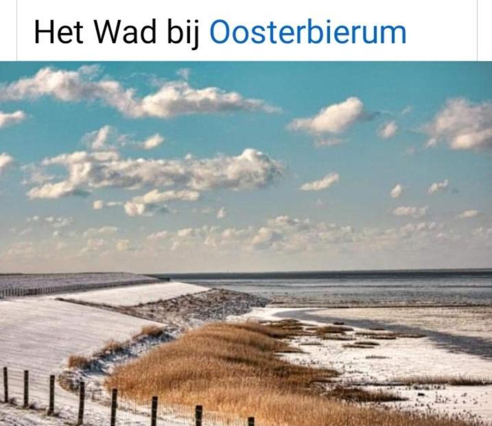 4-Persoons Vakantiehuisje Simmerwille Tzummarum Экстерьер фото